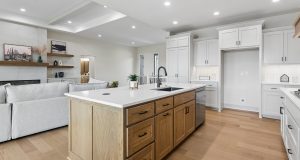 10-web-or-mls-10709 S 219th Ave_011