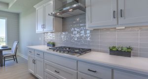 12-web-or-mls-5807n197st_012_web