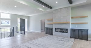 5510n213av