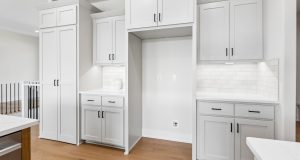 7-web-or-mls-9259 - 10809 S 219th Ave_007