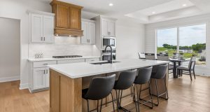 9-web-or-mls-9259 - 10809 S 219th Ave_009